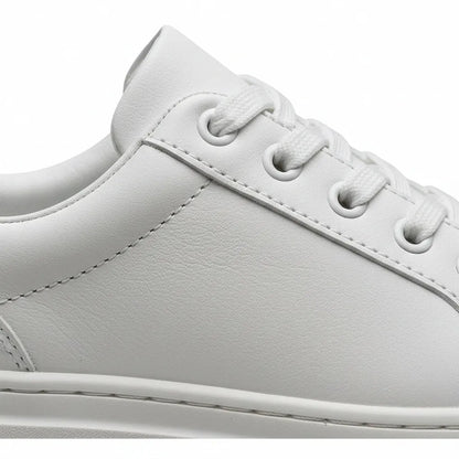 Basket Old Money - My Store